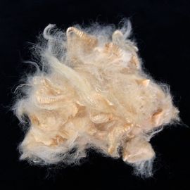 Textile Soybean Protein Fiber 1.5D 38MM For Spinning Or Filling Quilt