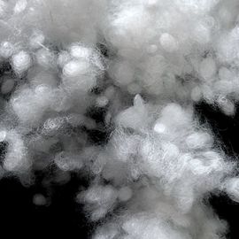 Pure White Polyester Hollowfibre , High Elasticity Polyester Ball Fiber